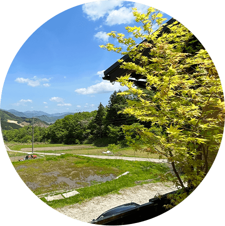 お庭